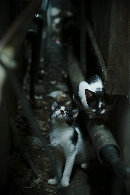 体育心理学新研究 助力运动员突破瓶颈,体育运动心理学研究进展