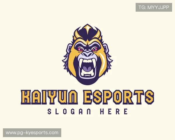 关于开云电竞官网