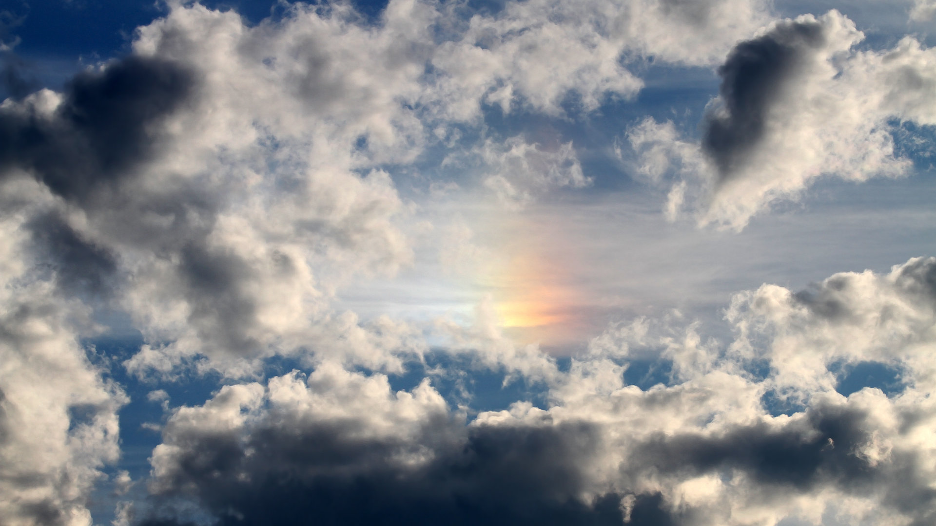 北控莎琳高分难救主关键时刻失误致负，北控集团审计部沙宁